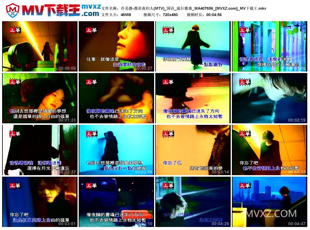 许美静-都是夜归人(MTV)_国语_流行歌曲_MA407656